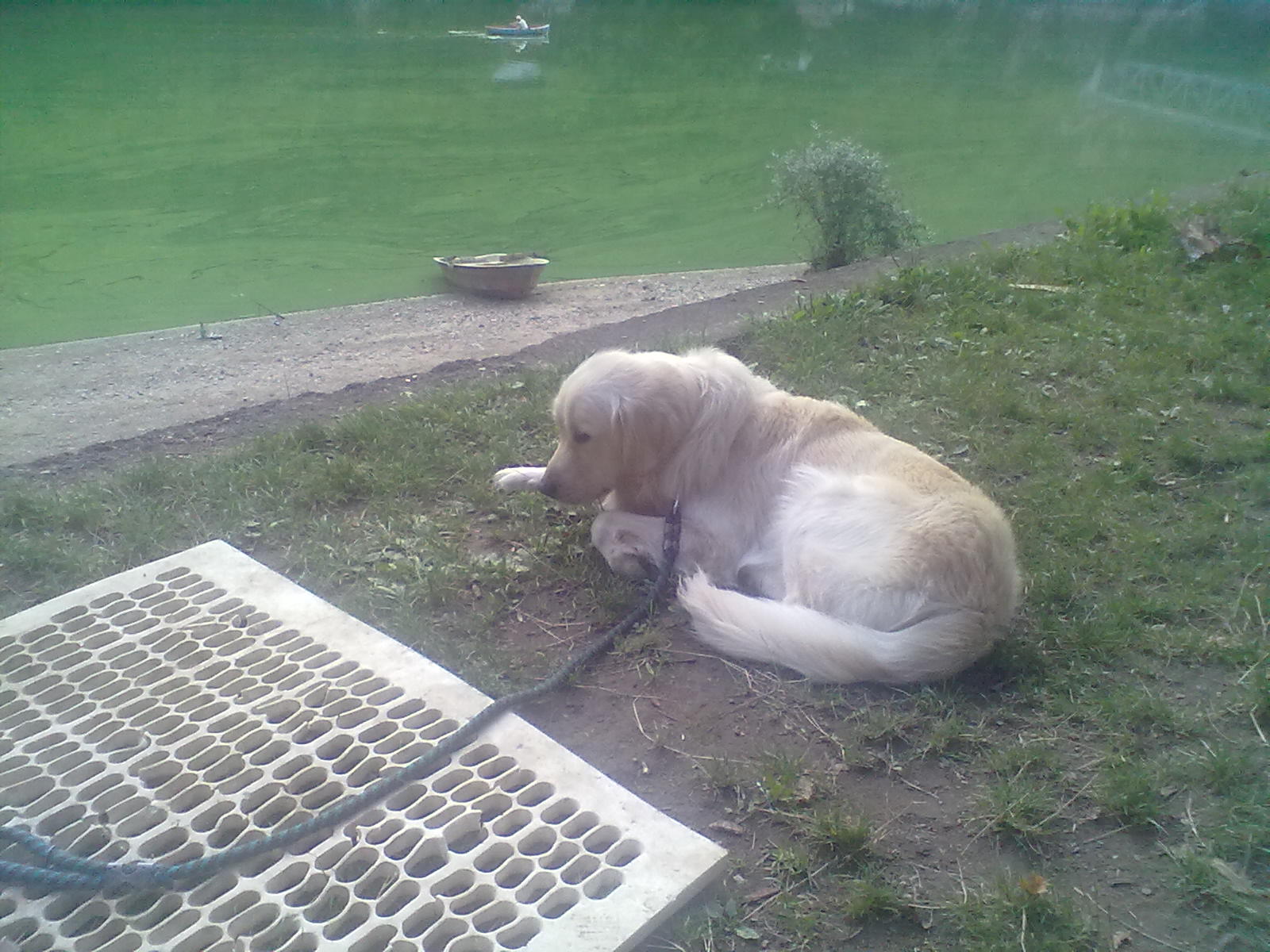 050820111229