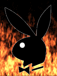 019