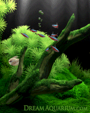 Deep_Green_scr (1)